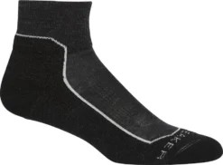 Icebreaker Hike+ Light Mini Socks - Women's